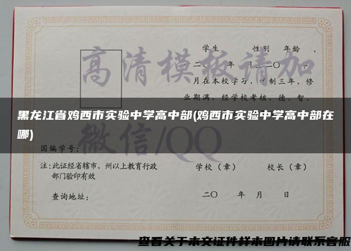 黑龙江省鸡西市实验中学高中部(鸡西市实验中学高中部在哪)