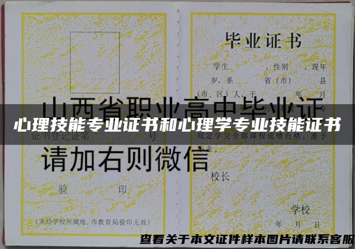 心理技能专业证书和心理学专业技能证书