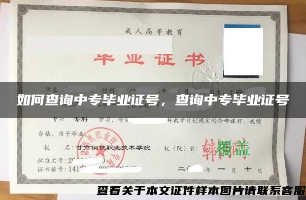 如何查询中专毕业证号，查询中专毕业证号