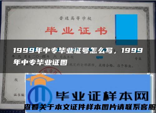 1999年中专毕业证号怎么写，1999年中专毕业证图