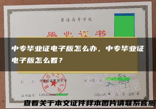 中专毕业证电子版怎么办，中专毕业证电子版怎么看？