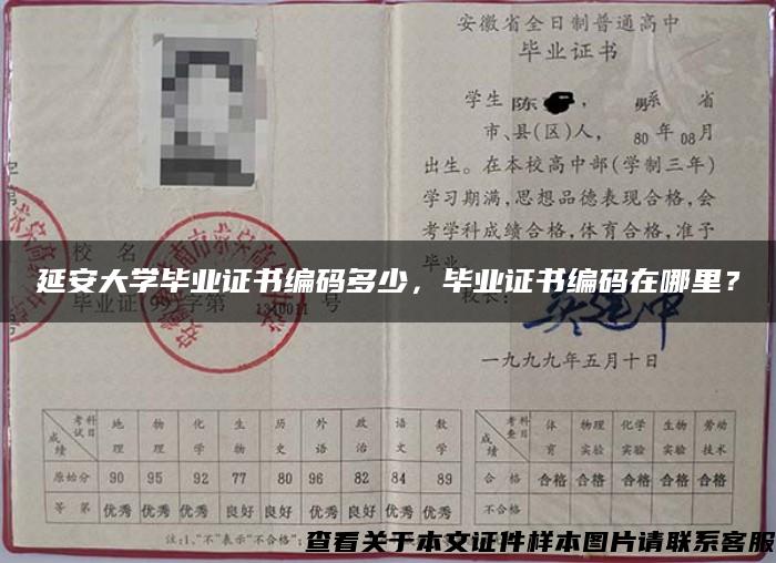 延安大学毕业证书编码多少，毕业证书编码在哪里？