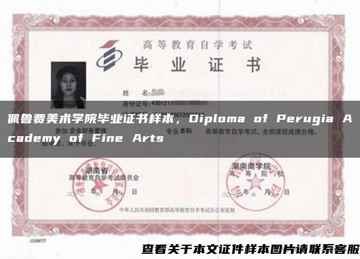 佩鲁贾美术学院毕业证书样本，Diploma of Perugia Academy of Fine Arts