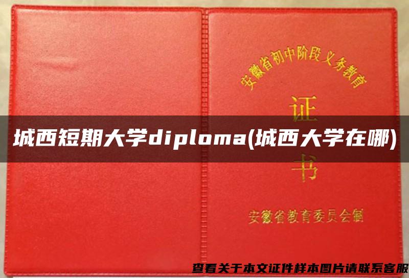 城西短期大学diploma(城西大学在哪)