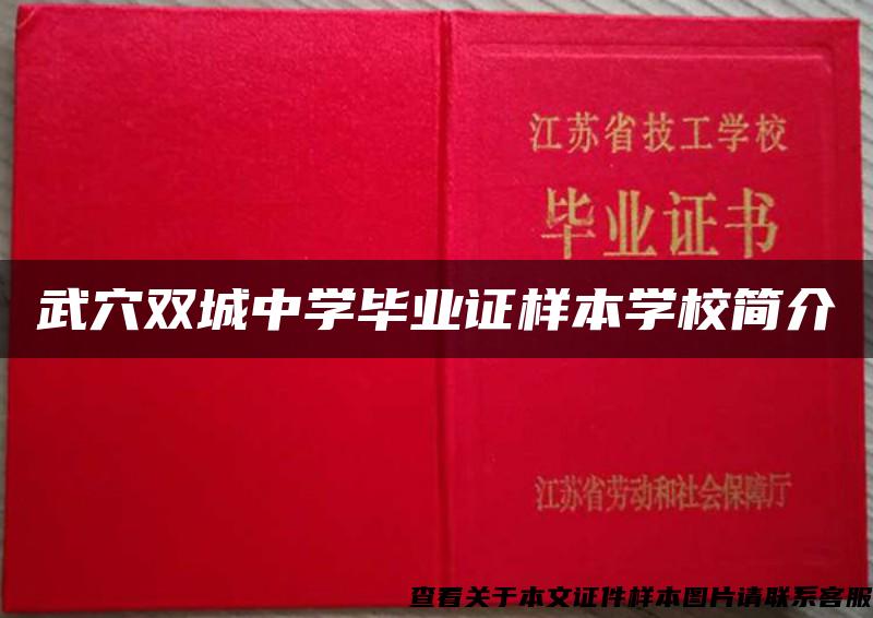 武穴双城中学毕业证样本学校简介