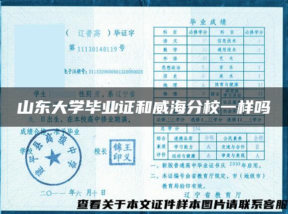 山东大学毕业证和威海分校一样吗