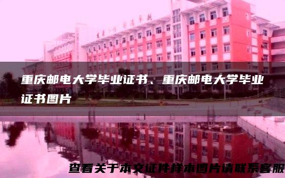 重庆邮电大学毕业证书、重庆邮电大学毕业证书图片