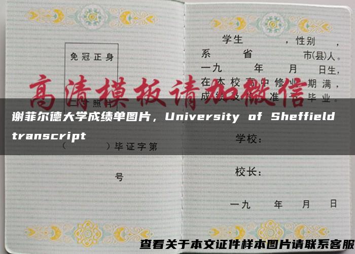 谢菲尔德大学成绩单图片，University of Sheffield transcript