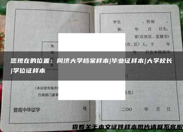 您现在的位置：同济大学档案样本|毕业证样本|大学校长|学位证样本