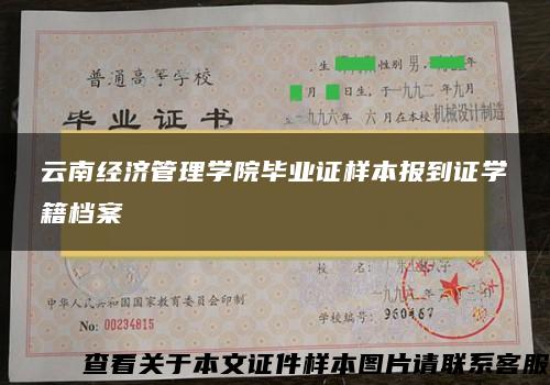 云南经济管理学院毕业证样本报到证学籍档案