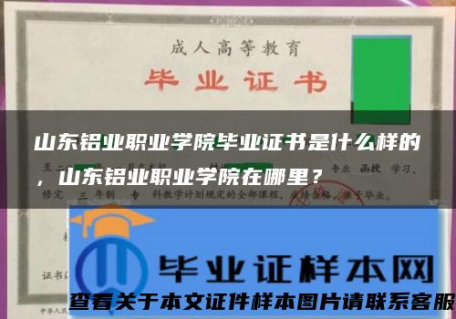 山东铝业职业学院毕业证书是什么样的，山东铝业职业学院在哪里？