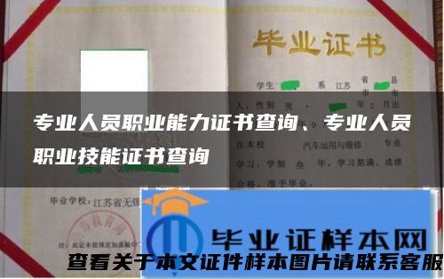 专业人员职业能力证书查询、专业人员职业技能证书查询