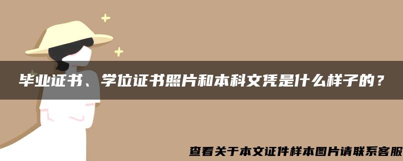 毕业证书、学位证书照片和本科文凭是什么样子的？