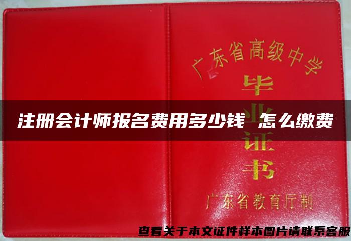 注册会计师报名费用多少钱 怎么缴费