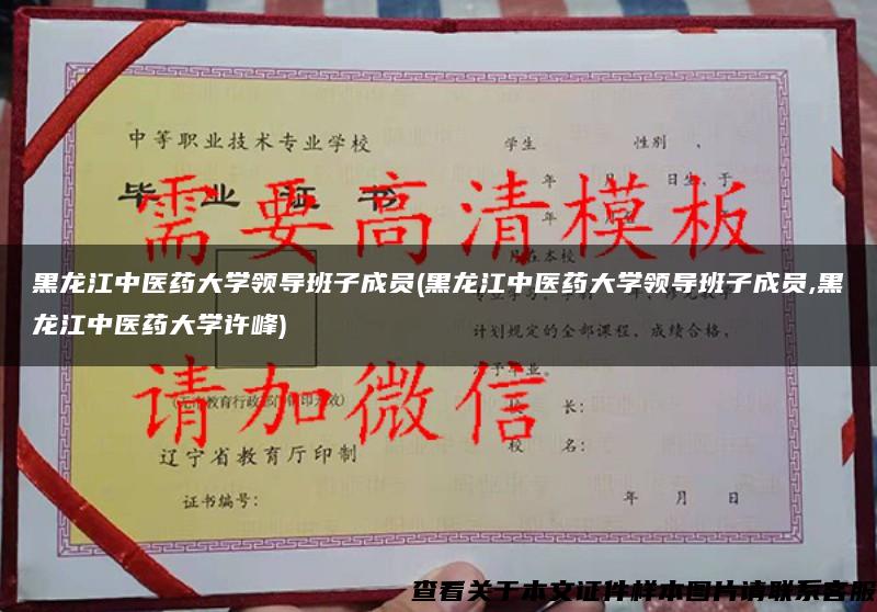 黑龙江中医药大学领导班子成员(黑龙江中医药大学领导班子成员,黑龙江中医药大学许峰)