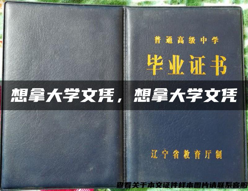 想拿大学文凭，想拿大学文凭