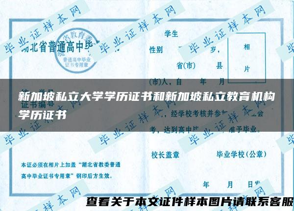 新加坡私立大学学历证书和新加坡私立教育机构学历证书