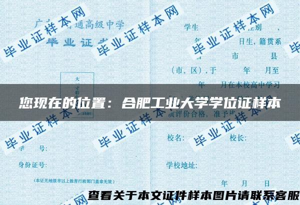 您现在的位置：合肥工业大学学位证样本