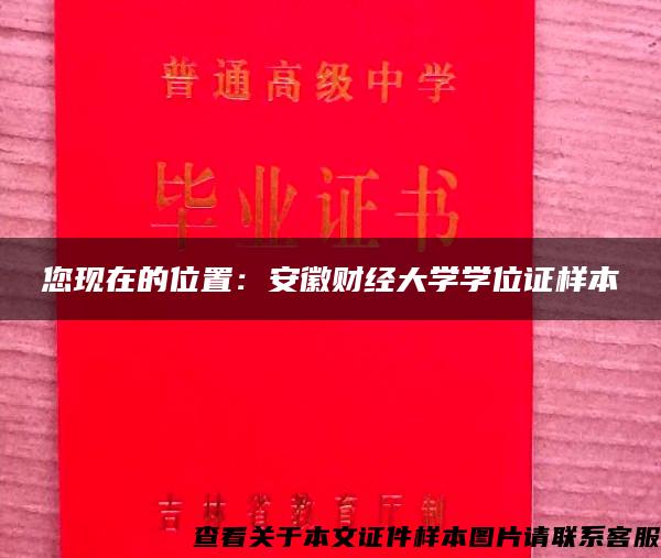 您现在的位置：安徽财经大学学位证样本