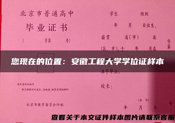 您现在的位置：安徽工程大学学位证样本