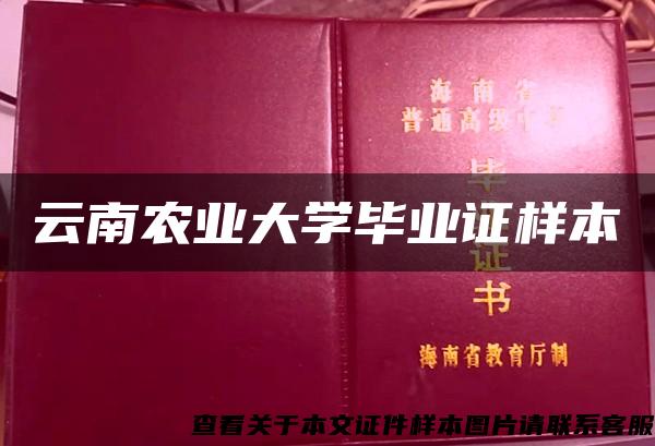 云南农业大学毕业证样本