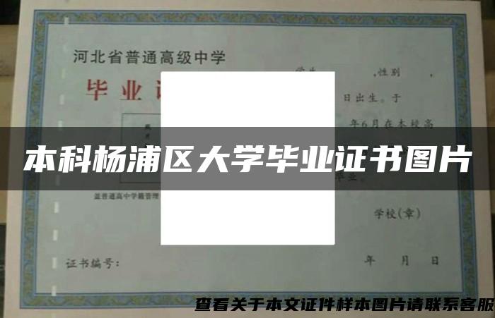 本科杨浦区大学毕业证书图片