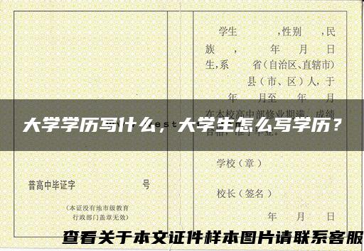 大学学历写什么，大学生怎么写学历？