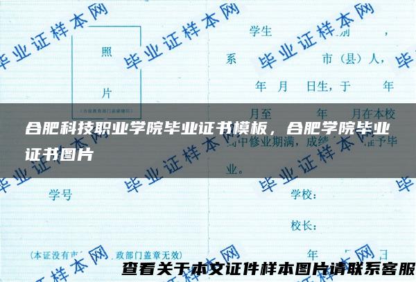 合肥科技职业学院毕业证书模板，合肥学院毕业证书图片