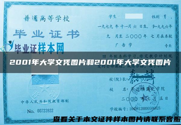 2001年大学文凭图片和2001年大学文凭图片