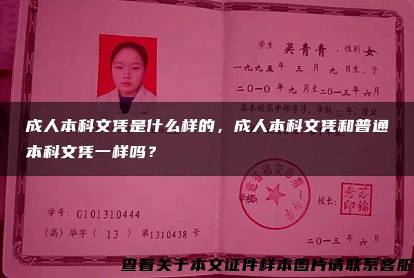 成人本科文凭是什么样的，成人本科文凭和普通本科文凭一样吗？