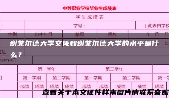 谢菲尔德大学文凭和谢菲尔德大学的水平是什么？