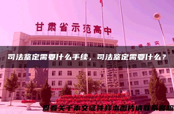 司法鉴定需要什么手续，司法鉴定需要什么？