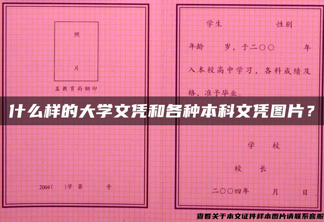 什么样的大学文凭和各种本科文凭图片？