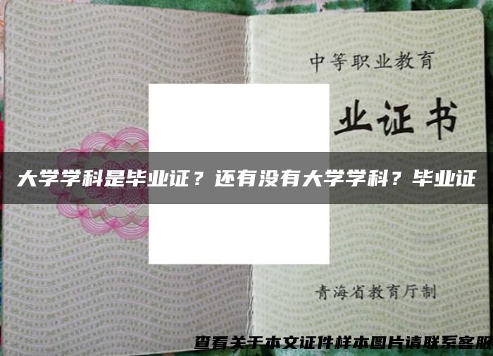 大学学科是毕业证？还有没有大学学科？毕业证