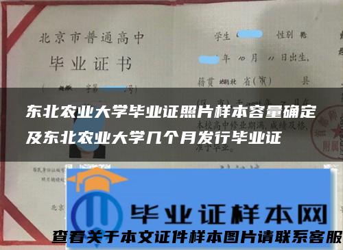 东北农业大学毕业证照片样本容量确定及东北农业大学几个月发行毕业证