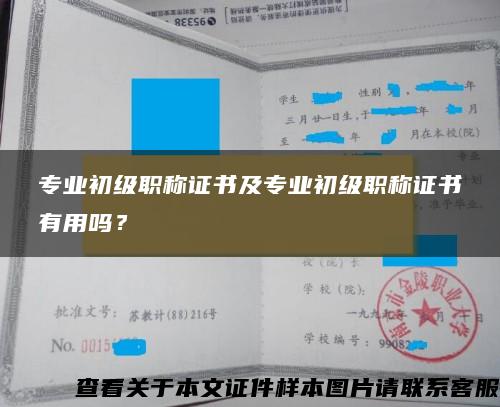 专业初级职称证书及专业初级职称证书有用吗？