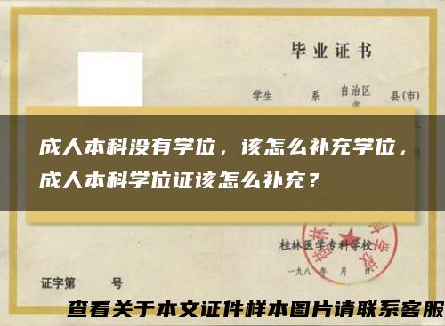 成人本科没有学位，该怎么补充学位，成人本科学位证该怎么补充？