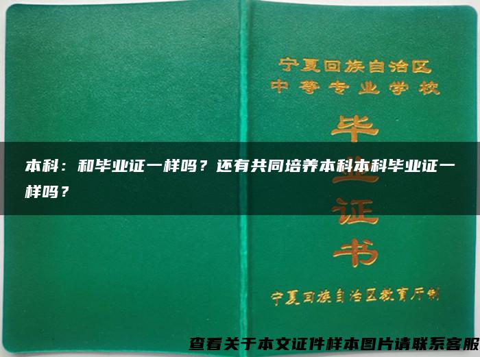 本科：和毕业证一样吗？还有共同培养本科本科毕业证一样吗？