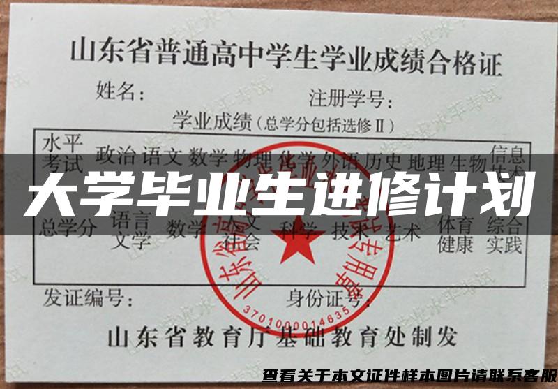 大学毕业生进修计划