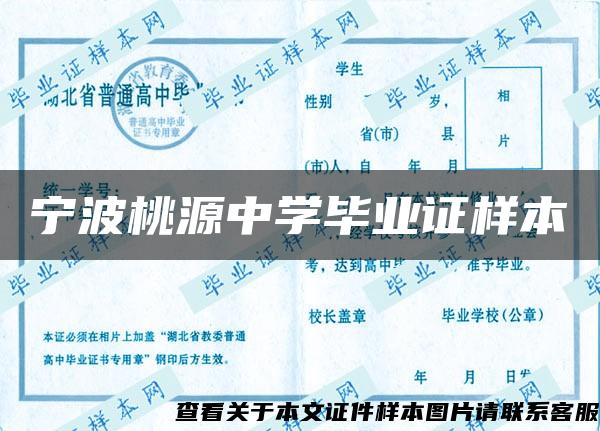 宁波桃源中学毕业证样本