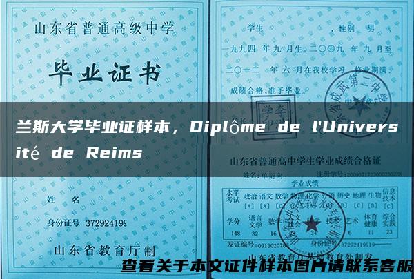 兰斯大学毕业证样本，Diplôme de l