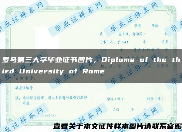 罗马第三大学毕业证书图片，Diploma of the third University of Rome