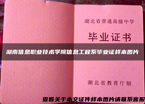 湖南信息职业技术学院信息工程系毕业证样本图片