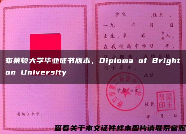 布莱顿大学毕业证书版本，Diploma of Brighton University