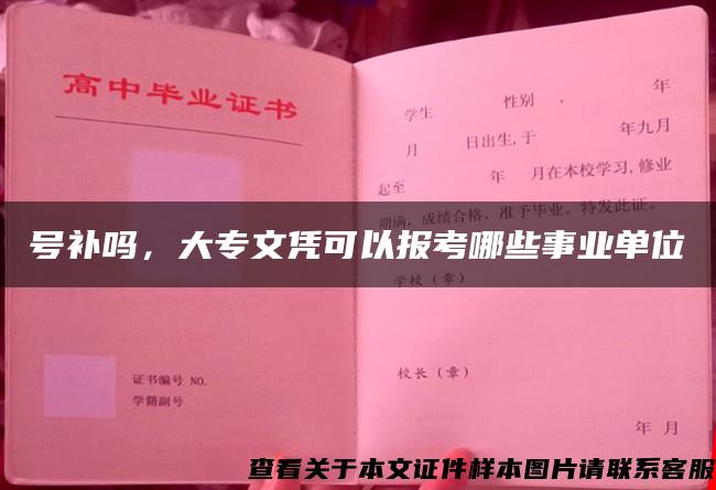 号补吗，大专文凭可以报考哪些事业单位