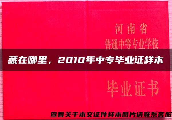 藏在哪里，2010年中专毕业证样本