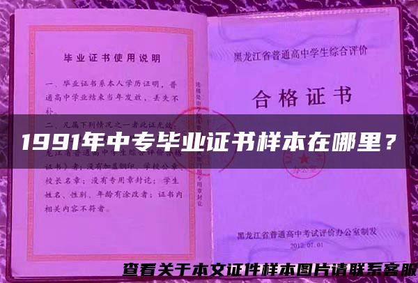 1991年中专毕业证书样本在哪里？