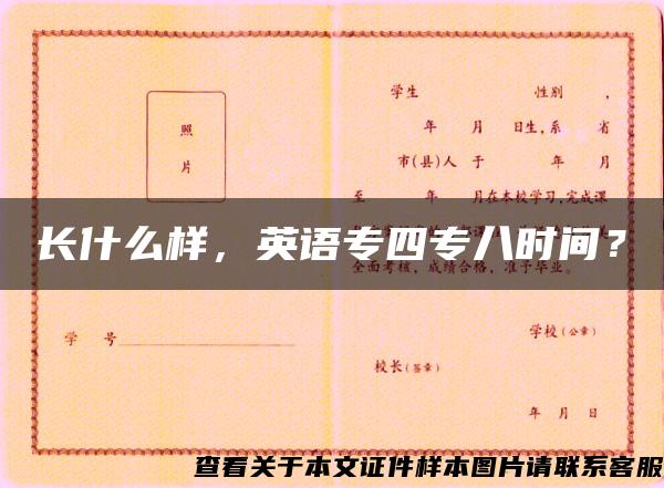 长什么样，英语专四专八时间？