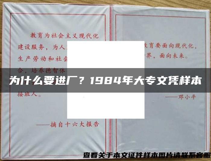 为什么要进厂？1984年大专文凭样本