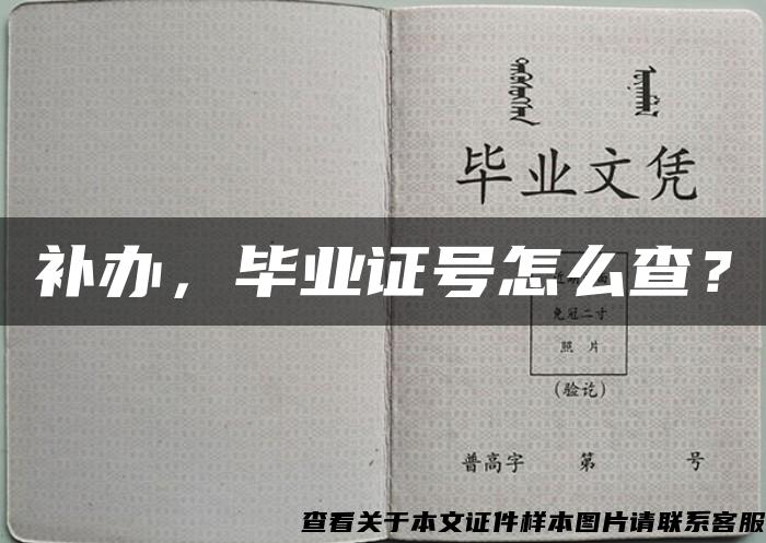 补办，毕业证号怎么查？